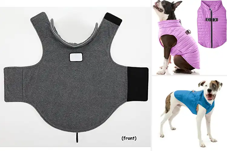 Detailed view of Best Lightweight Dog Jackets