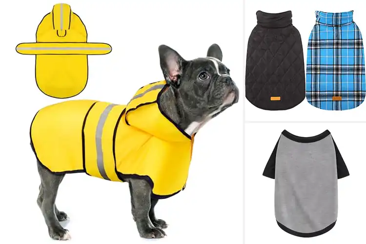 Detailed view of Best Lightweight Durable Dog Clothing