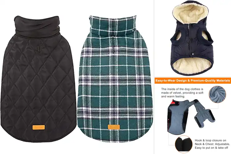 Detailed view of Best Lightweight Winter Dog Jacket For Warmth