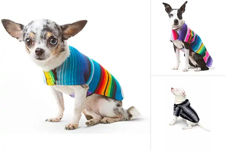 Detailed view of Best Mexican Blanket Dog Coats