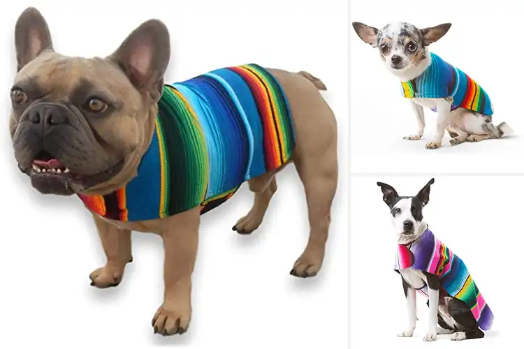 Detailed view of Best Mexican Blanket Dog Vests