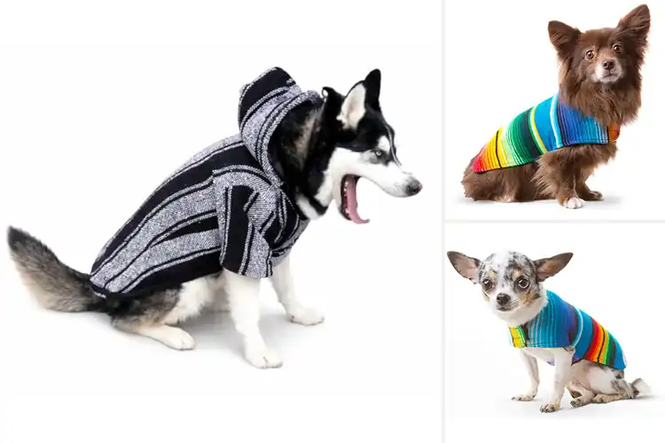 Detailed view of Best Mexican Made Dog Poncho