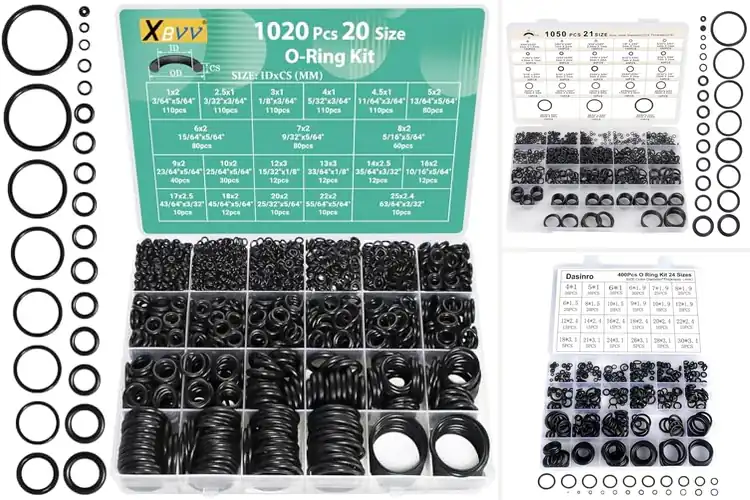 Detailed view of Best O-Ring Seals