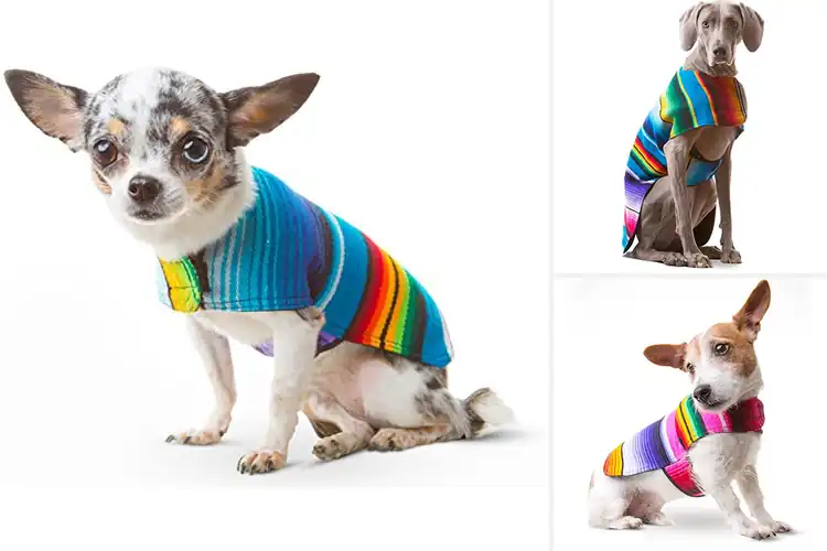 Detailed view of Best One Of A Kind Dog Poncho