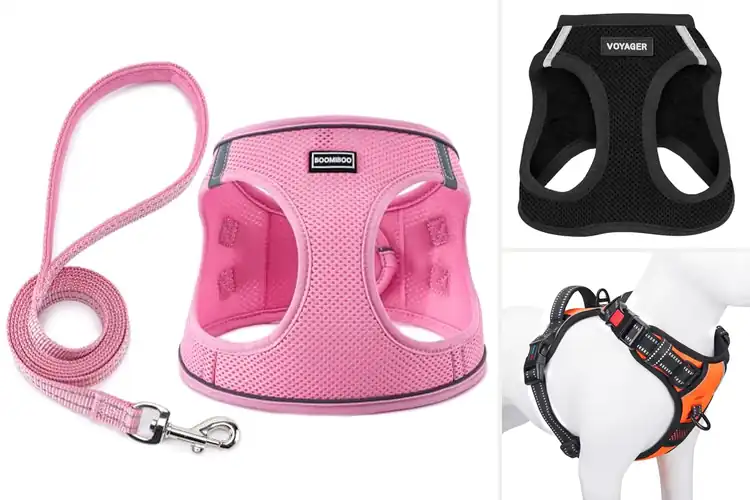Detailed view of Best Pet Harness Vests