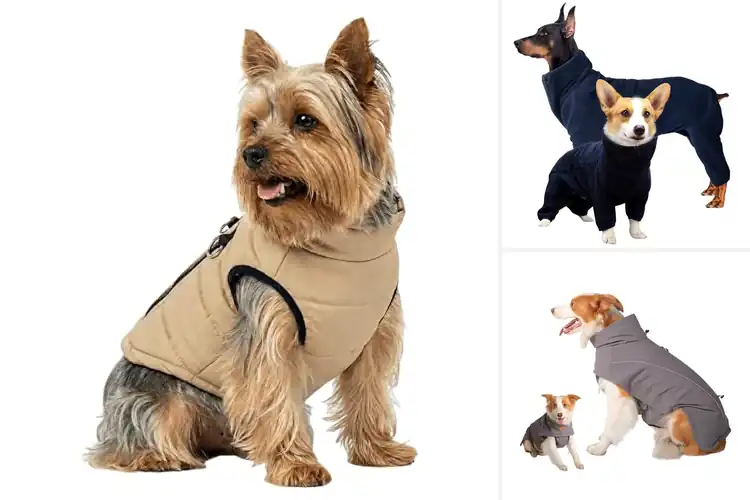 Detailed view of Best Pet Winter Jackets