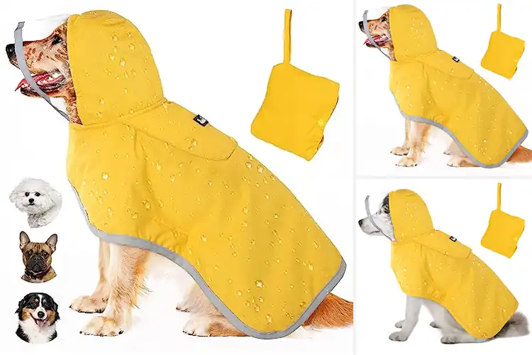 Detailed view of Best Portable Dog Jackets