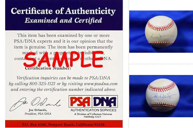 Detailed view of Best PSA Authenticated Autographs: Own a Piece of History