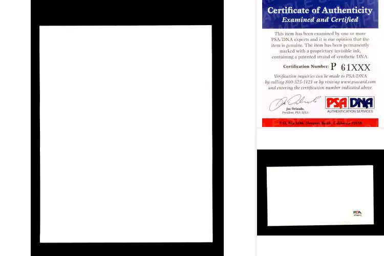 Detailed view of Best PSA DNA Certified Autographs