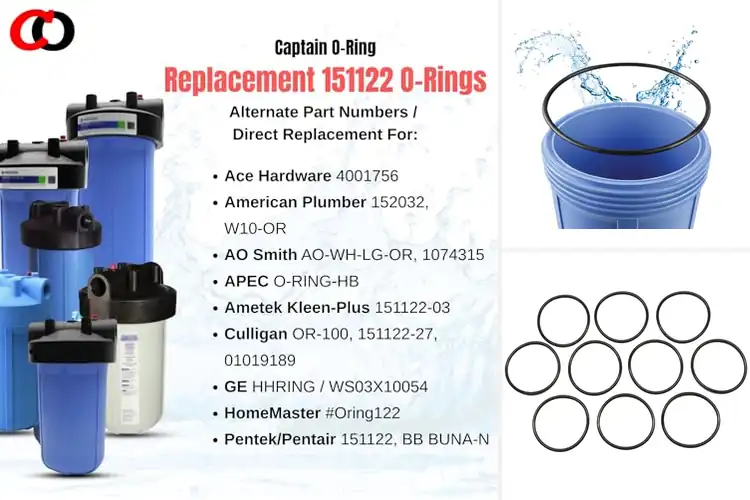 Detailed view of Best Replacement Gasket O-Rings