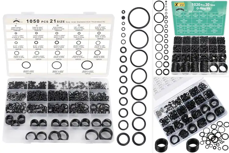 Detailed view of Best Replacement O Rings
