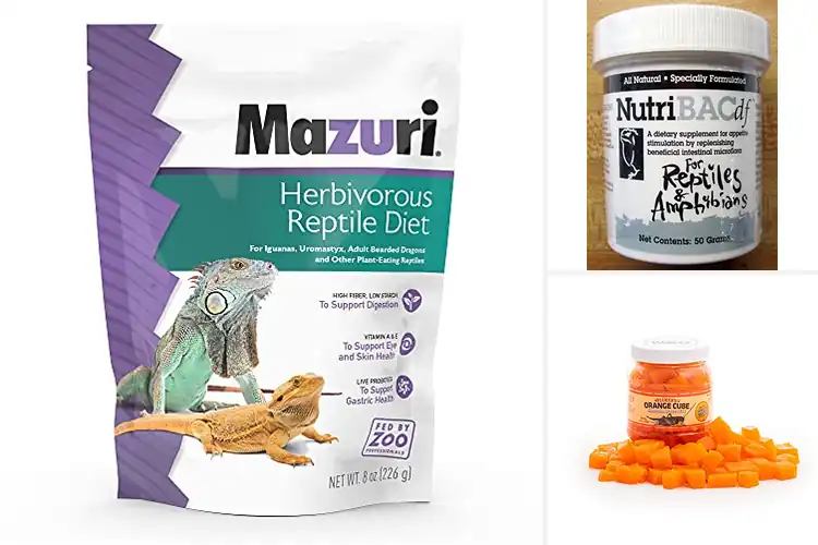 Detailed view of Best Reptile Diets: Top 10 Nutritious & Convenient Options