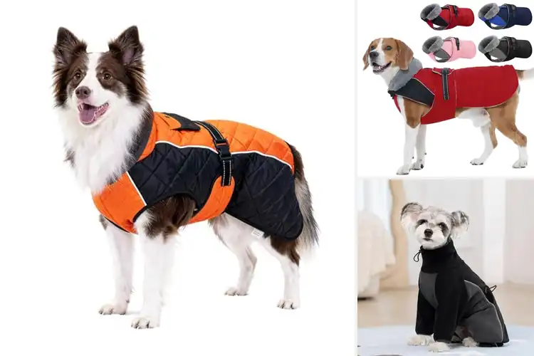 Detailed view of Best Seasonal Dog Coat Winter Warmth