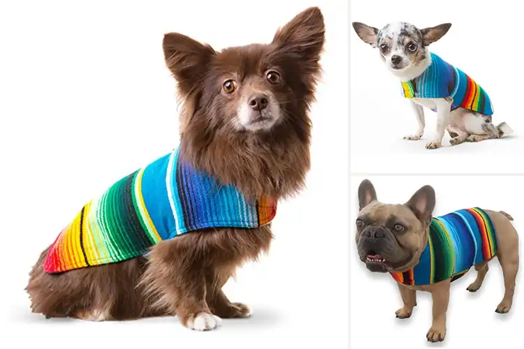 Detailed view of Best Serape Dog Coats