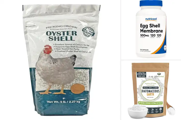 Detailed view of Best Shell Health Supplements