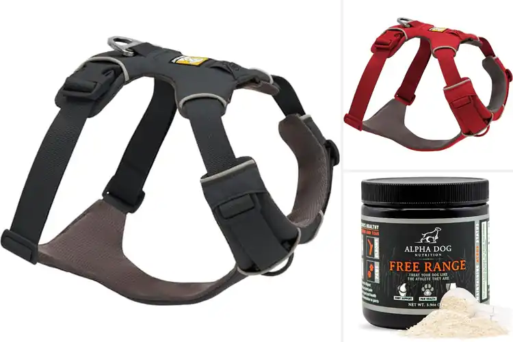 Detailed view of Best Size Range For All Dogs: Find Your Pup’s Perfect Fit