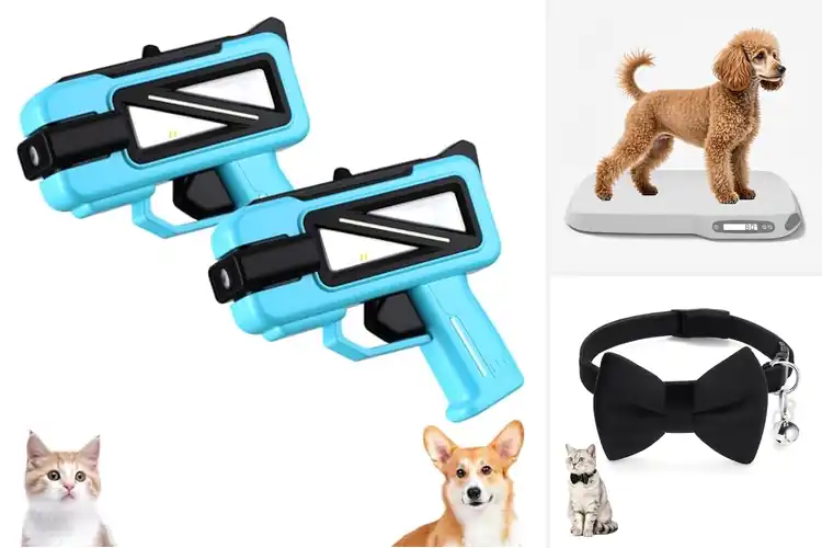 Detailed view of Best Size Range For Dogs And Cats: Perfect Fit Guide