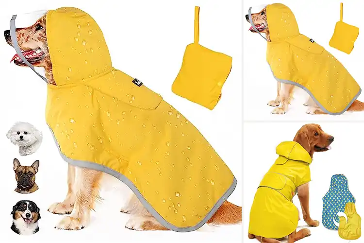 Detailed view of Best Sized Dog Poncho For All Breeds