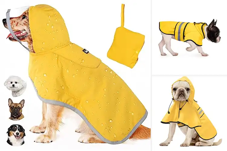 Detailed view of Best Sized Dog Poncho