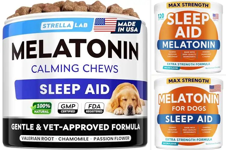 Detailed view of Best Sleep Aid Treats