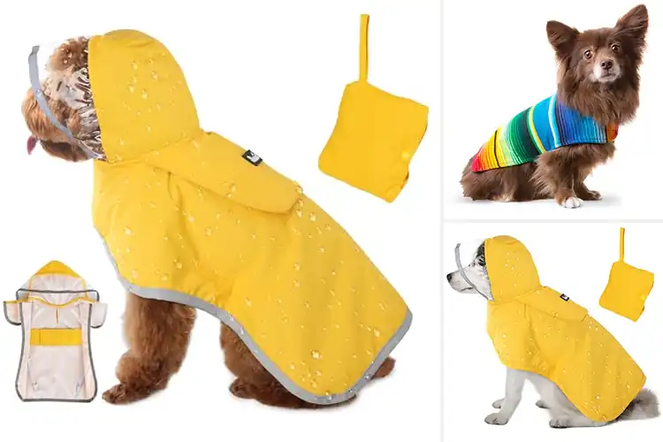 Detailed view of Best Small Dog Ponchos