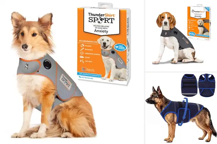Detailed view of Best Stress Relief Dog Coat For Thunderstorms