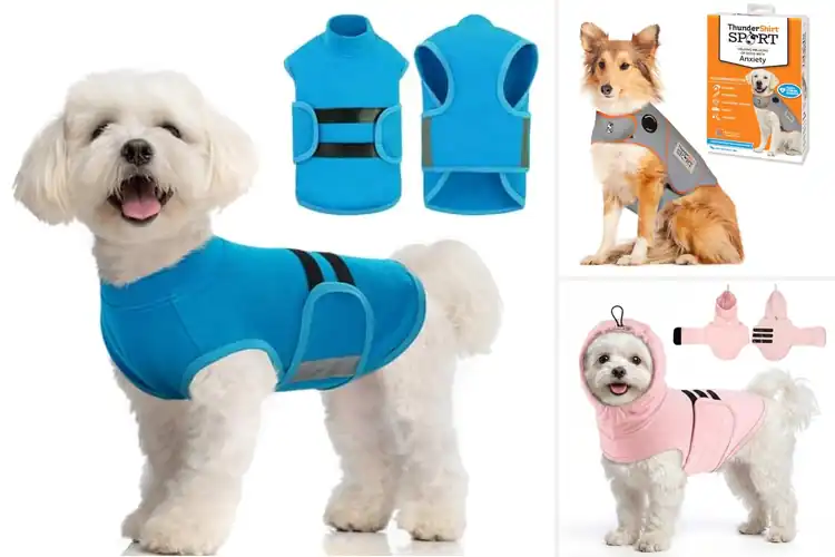 Detailed view of Best Stress-Relief Dog Outfit