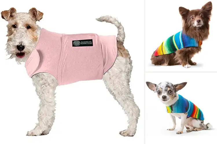 Detailed view of Best Stress-Relief Dog Poncho: Top 10 Picks for Calm Canines