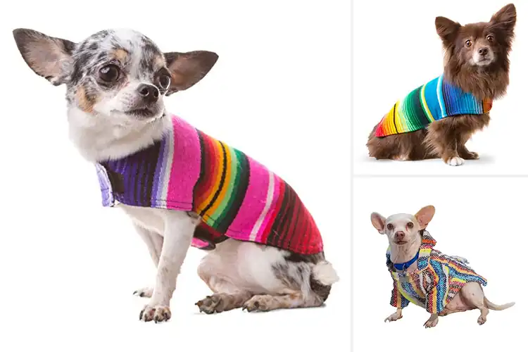 Detailed view of Best Teacup And Small Dog Size Poncho