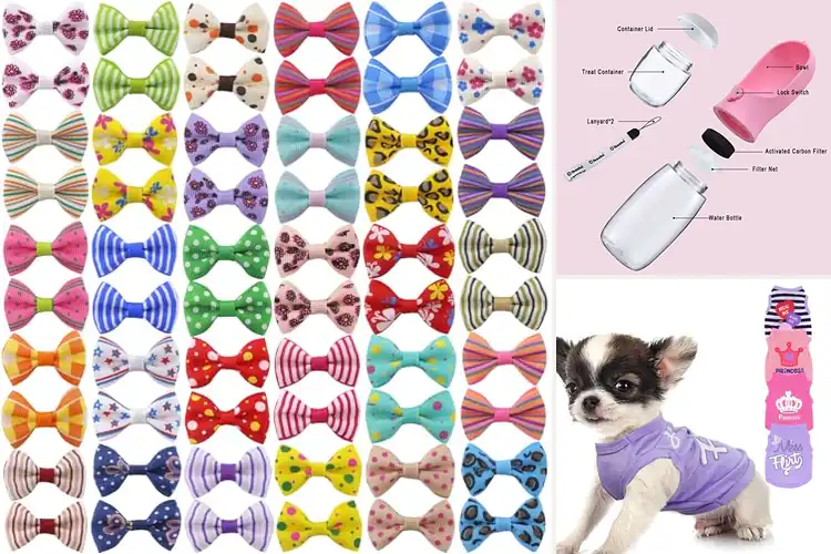 Detailed view of Best Teacup Dog Accessory: 10 Must-Haves for Style & Comfort
