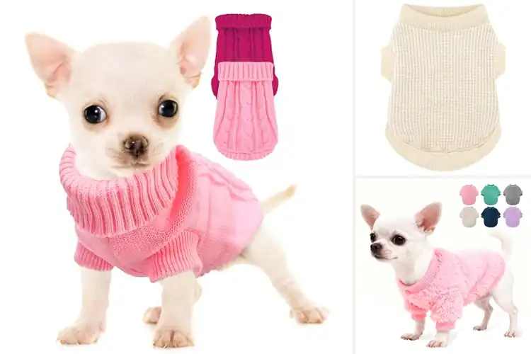 Detailed view of Best Teacup Dog Sweaters for Cozy Style