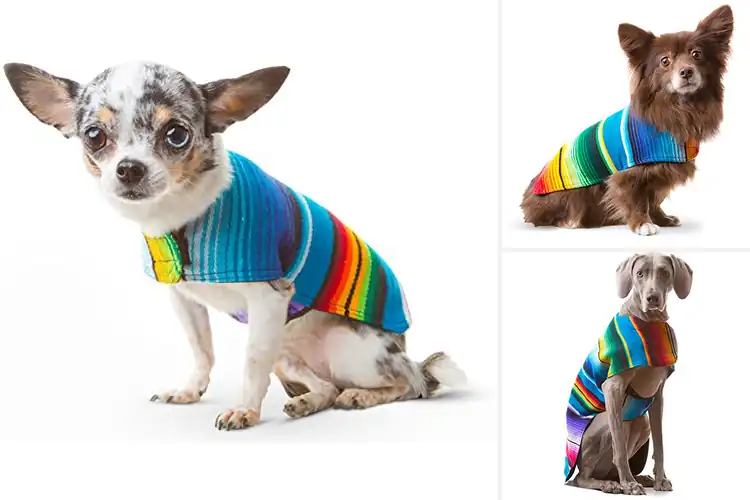 Detailed view of Best Tlaxcala Made Dog Poncho