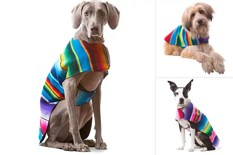 Detailed view of Best Weather Protection Dog Poncho Warmth And Comfort