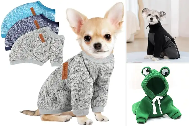 Detailed view of Best Winter Dog Clothing: 10 Cozy Picks for Cold Weather