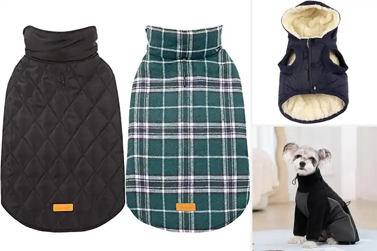 Detailed view of Best Winter Dog Jackets: Top 10 for Cozy Adventures