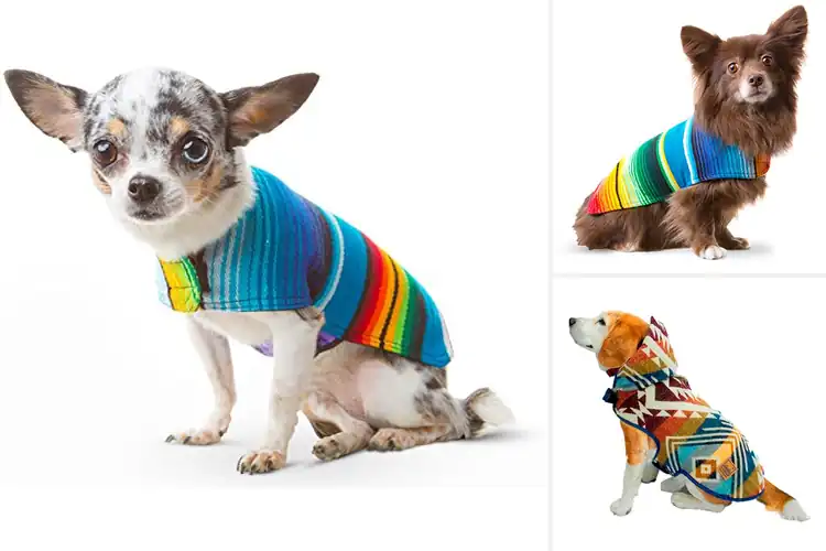 Detailed view of Best Winter Dog Ponchos