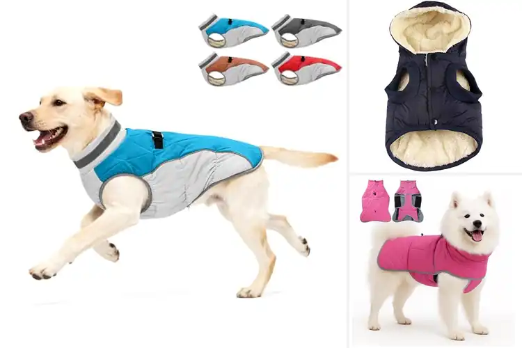 Detailed view of Best Winter Warmth Dog Coat