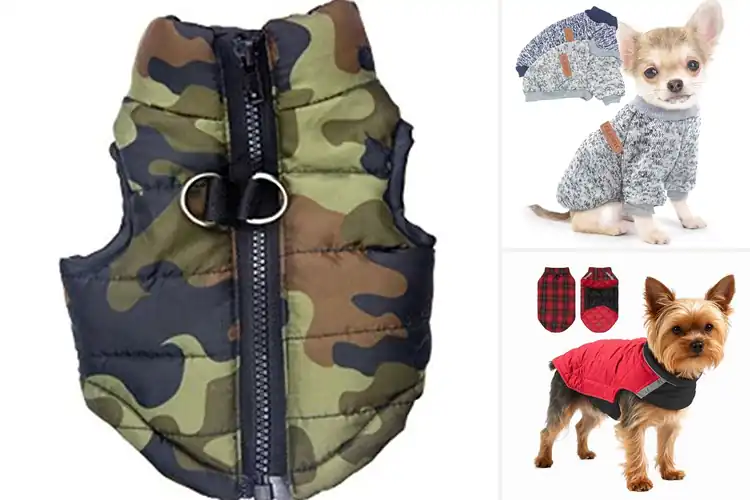 Detailed view of Best XXS Dog Coat: Top 10 Cozy Picks for Tiny Pups